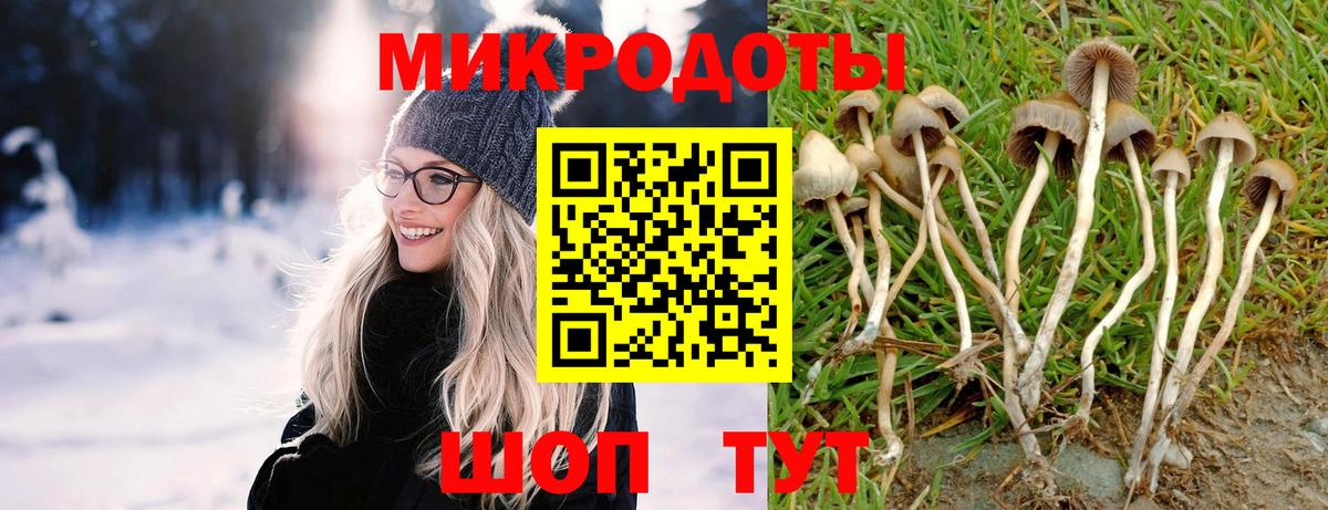 Галлюциногенные грибы Magic Shrooms Усть-Илимск